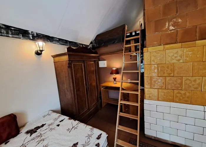 Srodziemie Rohan * Leśno